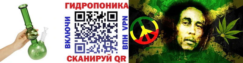 Наркотические вещества Усть-Кут omg ссылка  ЭКСТАЗИ  ГАШИШ  СОЛЬ  Канабис 