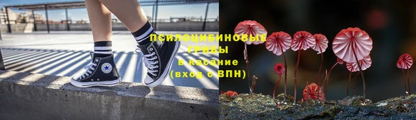 не бодяженный Лабытнанги