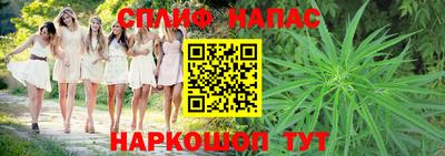 прущие грибы Малгобек