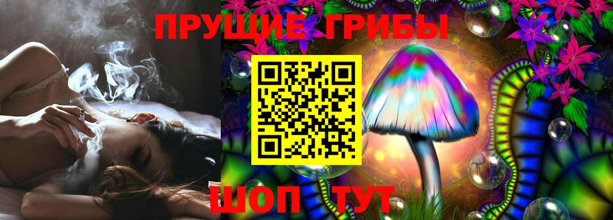 купить  цена  Усть-Кут  Псилоцибиновые грибы Psilocybe 