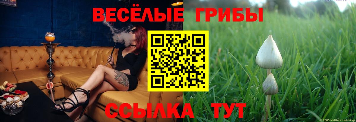 Галлюциногенные грибы GOLDEN TEACHER  где найти наркотики  Усть-Кут  Вход с VPN 