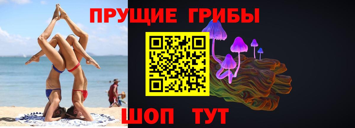 Псилоцибиновые грибы прущие грибы Усть-Кут